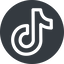 Normal, solid, circle, brand, social, network, tiktok, tik, tok, tik-tok icon