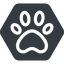 Up, normal, solid, hexagon, animal, cat, paw, dog, bear icon