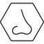 Thin, line, hexagon, horizontal, mirror, nose, nostril, odour, smell, nose-thin icon