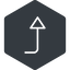 Thin, right, solid, hexagon, sign, confirm, horizontal, mirror, arrow, key, submit, send, return, enter, return-sign, return-sign-thin icon