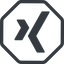 Line, normal, octagon, social, network, professional, job, xing icon