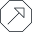 Thin, line, up, octagon, arrow, corner, arrow-corner-thin icon
