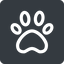 Up, normal, solid, square, animal, cat, paw, dog, bear icon