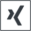 Thin, line, square, social, network, professional, job, xing icon