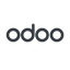 Normal, solid, website, ecommerce, accounting, erp, openerp, crm, odoo icon